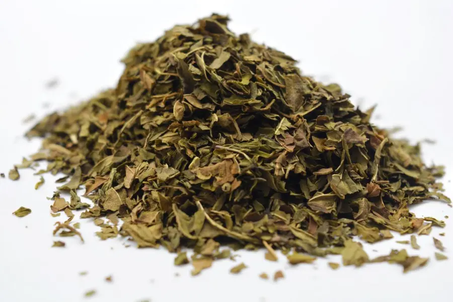 Psilocybin Mushroom Peppermint Tea - Image 2