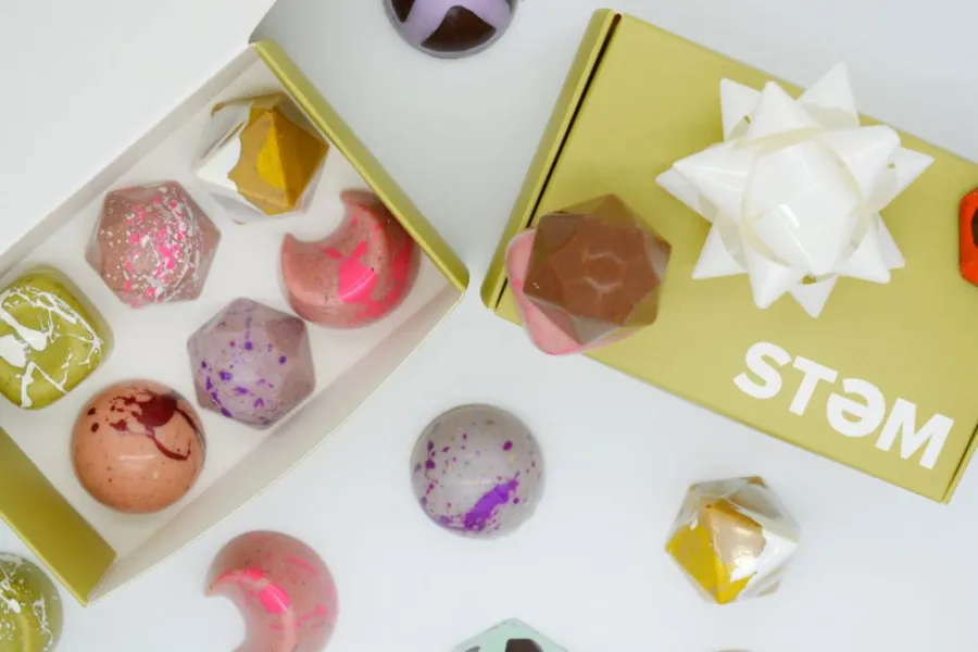 Stem Premium Assorted Mushroom Chocolate Box - Image 2